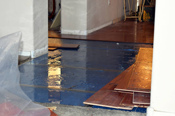 Professional Storm Water Damage Restoration technician working in Skippack, PA